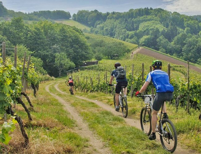 Le Langhe in e-bike tra vigneti e borghi storici
